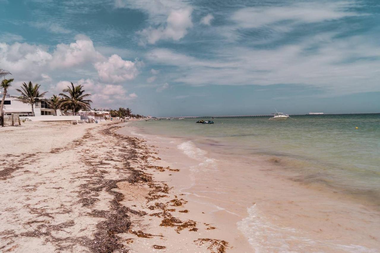 Luxury Condo, The Hidden Gem Playa Chaca. Live It! Progreso  Eksteriør bilde