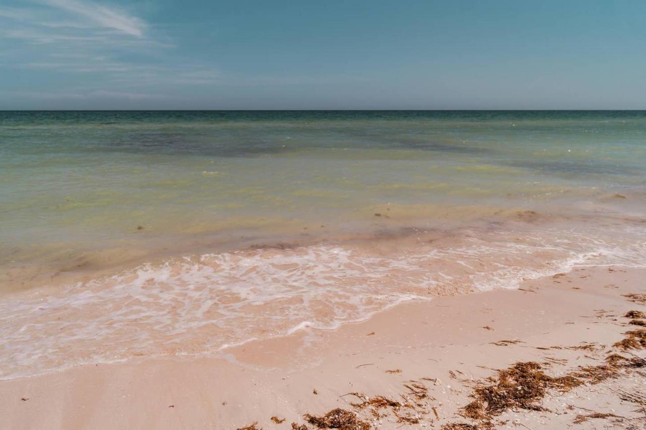 Luxury Condo, The Hidden Gem Playa Chaca. Live It! Progreso  Eksteriør bilde